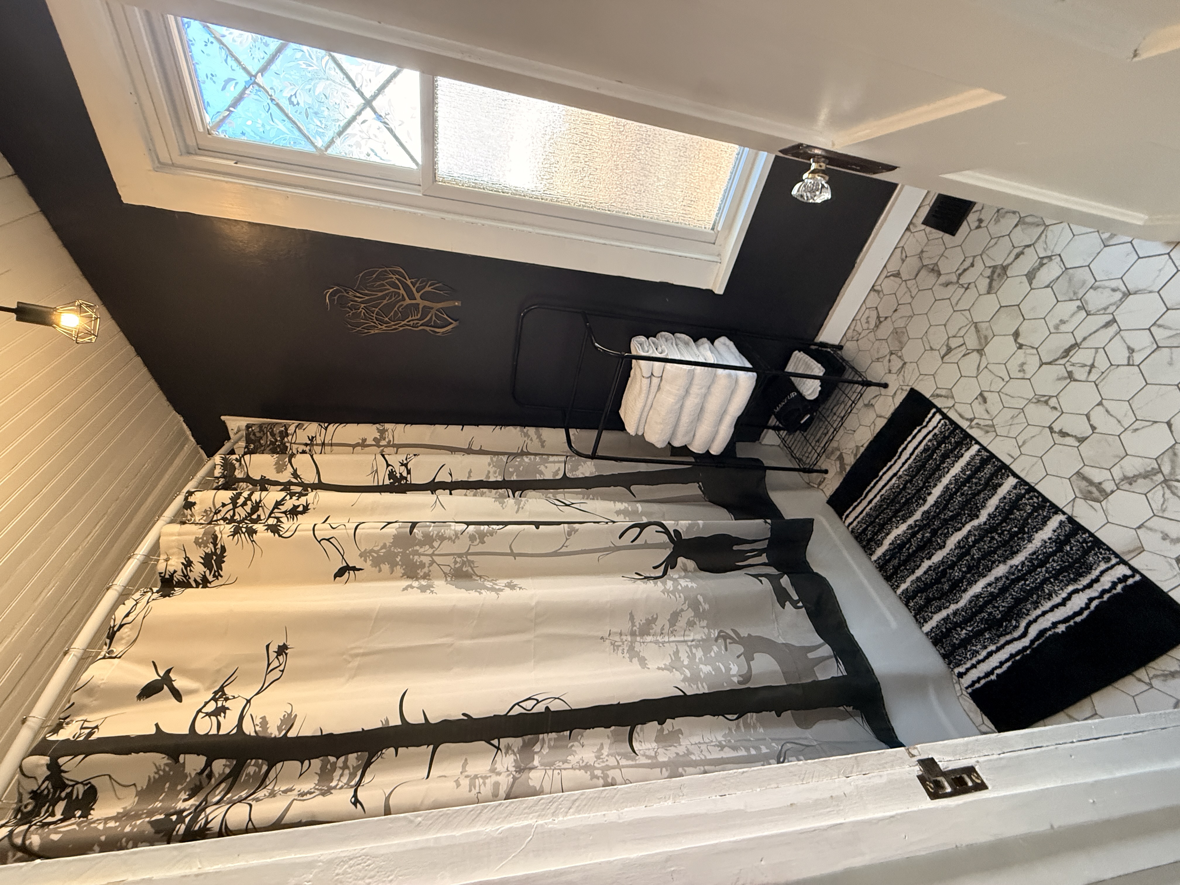 Rain Shower and Bathtub